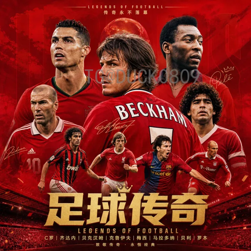 2026年国际足联世界杯举办国家在哪？详解主办国及赛事亮点